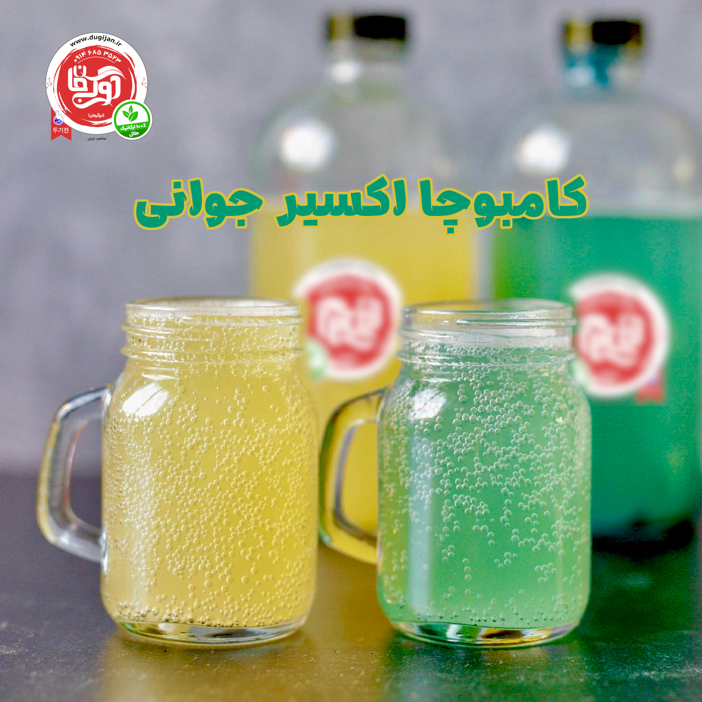 خواص نوشیدنی کامبوچا 